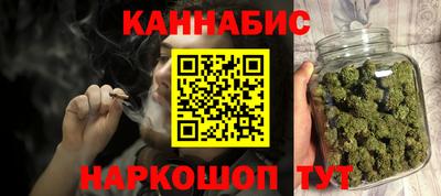 СК Кингисепп
