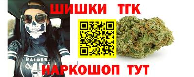 СК Кингисепп