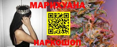 СК Кингисепп