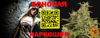 индика Кинель