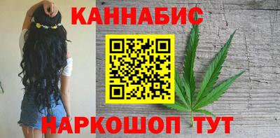 СК Кингисепп
