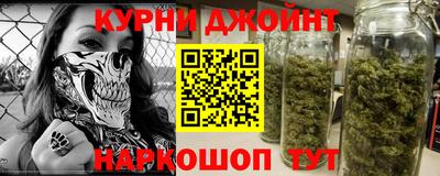 СК Кингисепп